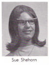 Senior Photo